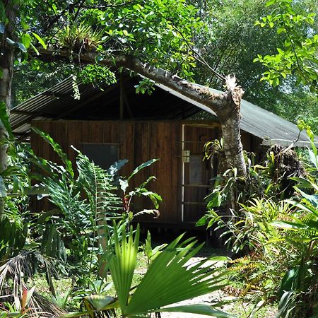 Hakuna Matata Amazon Lodge Archidona Exterior foto