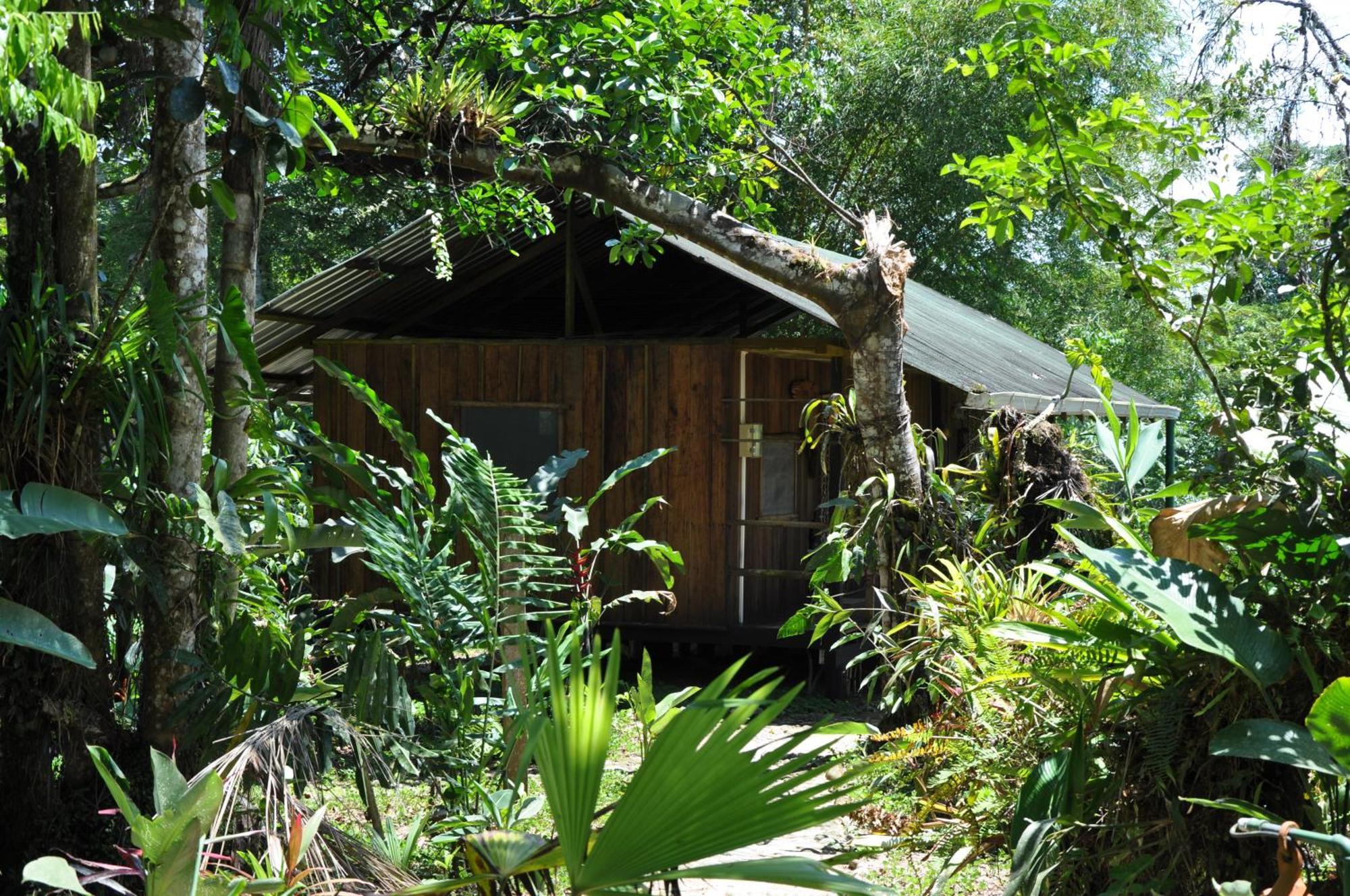 Hakuna Matata Amazon Lodge Archidona Exterior foto