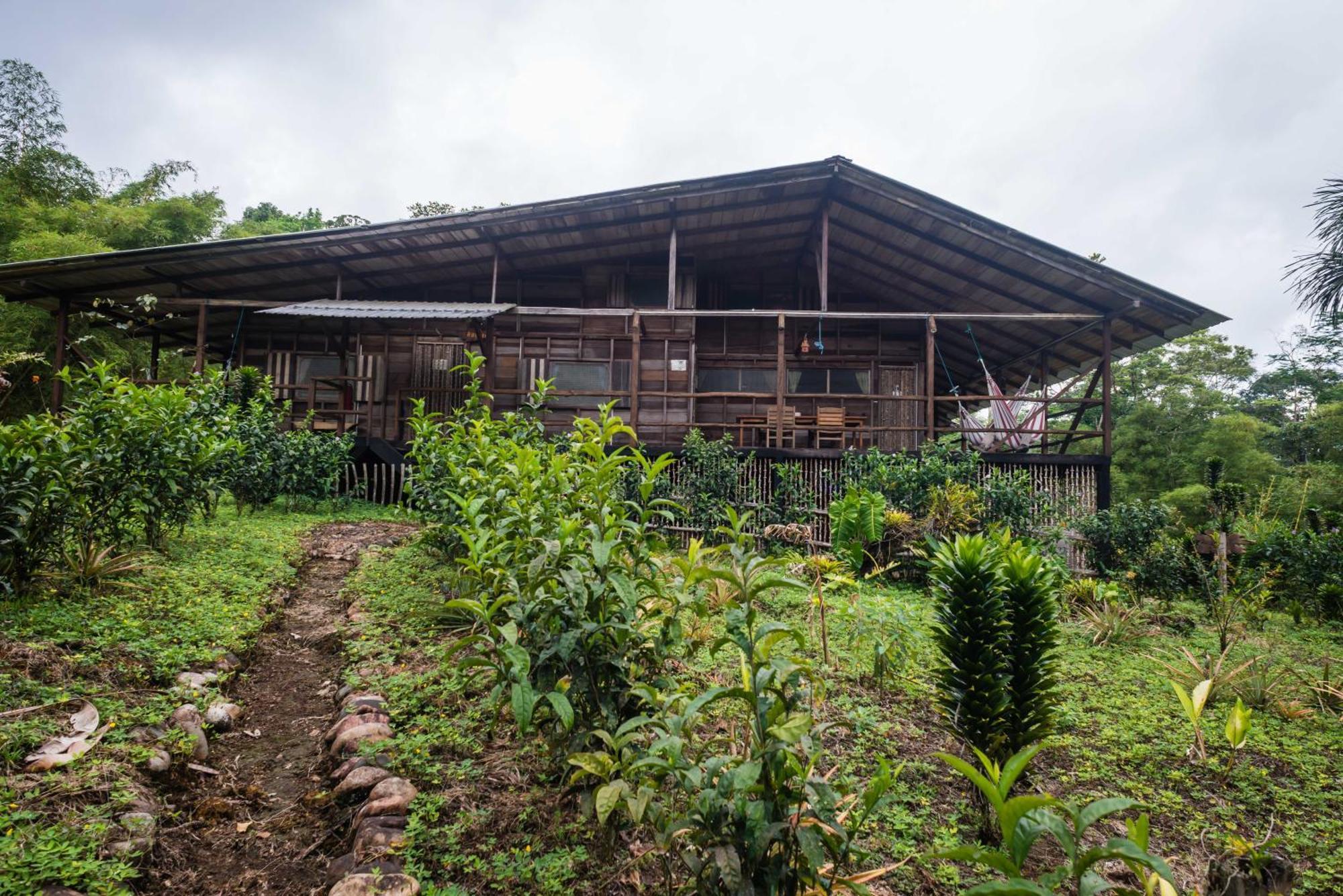Hakuna Matata Amazon Lodge Archidona Zimmer foto