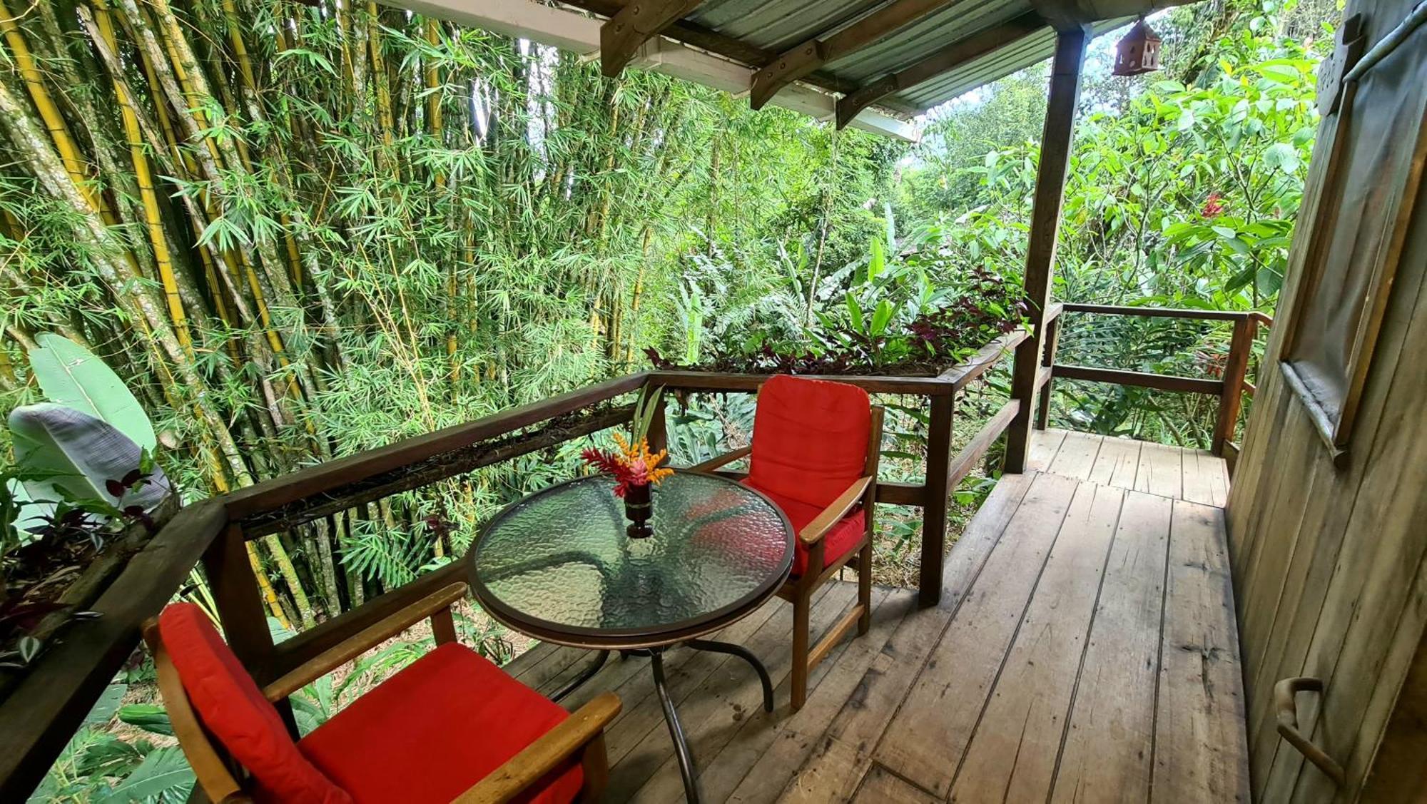 Hakuna Matata Amazon Lodge Archidona Exterior foto